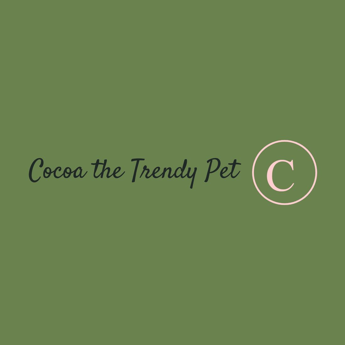 Cupid is a Dog (And Other February Truths) - Cocoa The Trendy Pet