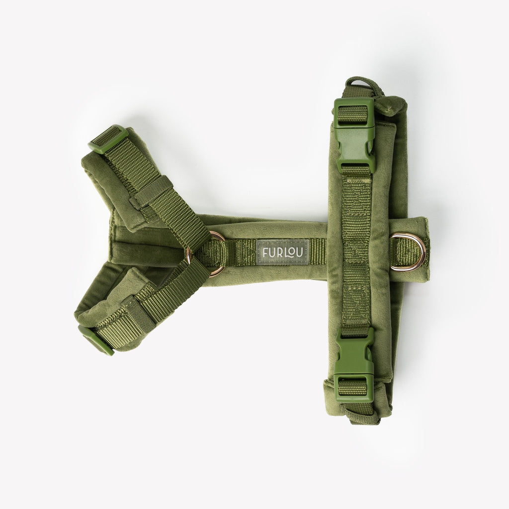 The Velvet Executive Suite: The 4 - Point Adjusted Harness - Cocoa The Trendy PetVelvet Harness