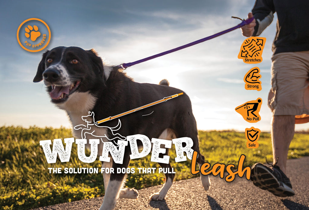 WUNDERleash – The Original No - Pull Dog Leash - Cocoa The Trendy Pet