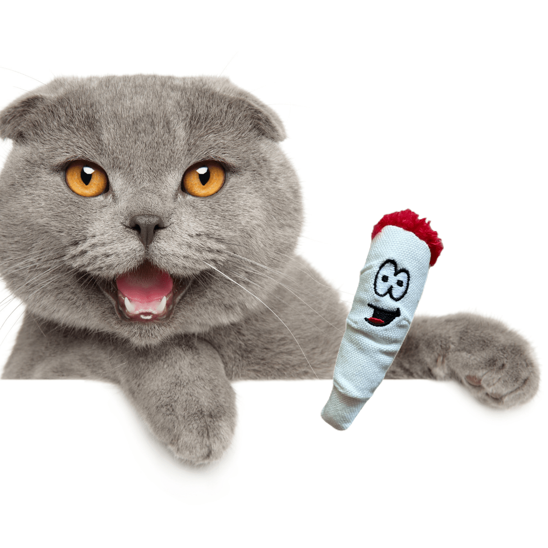 Jay Jr. The Joint 420 Cat Toy - Cocoa The Trendy PetPets - Cat Supplies