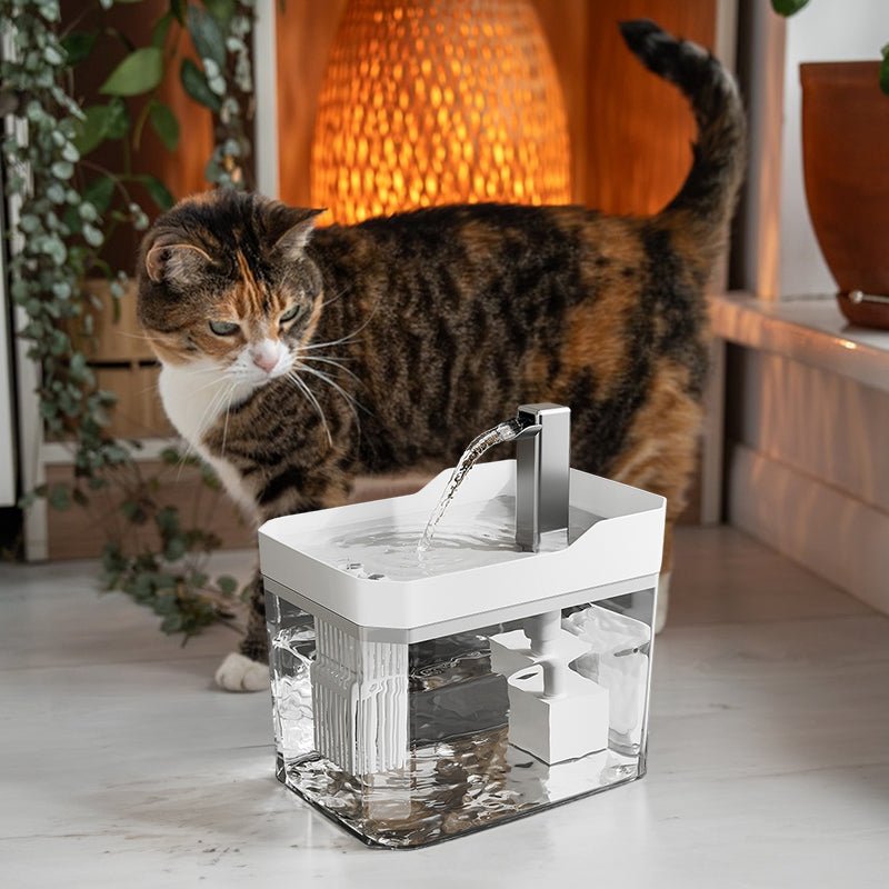 Automatic cat water fountain with filter, USB - powered, anti - dry & circular filtration.  - Cat Supplies