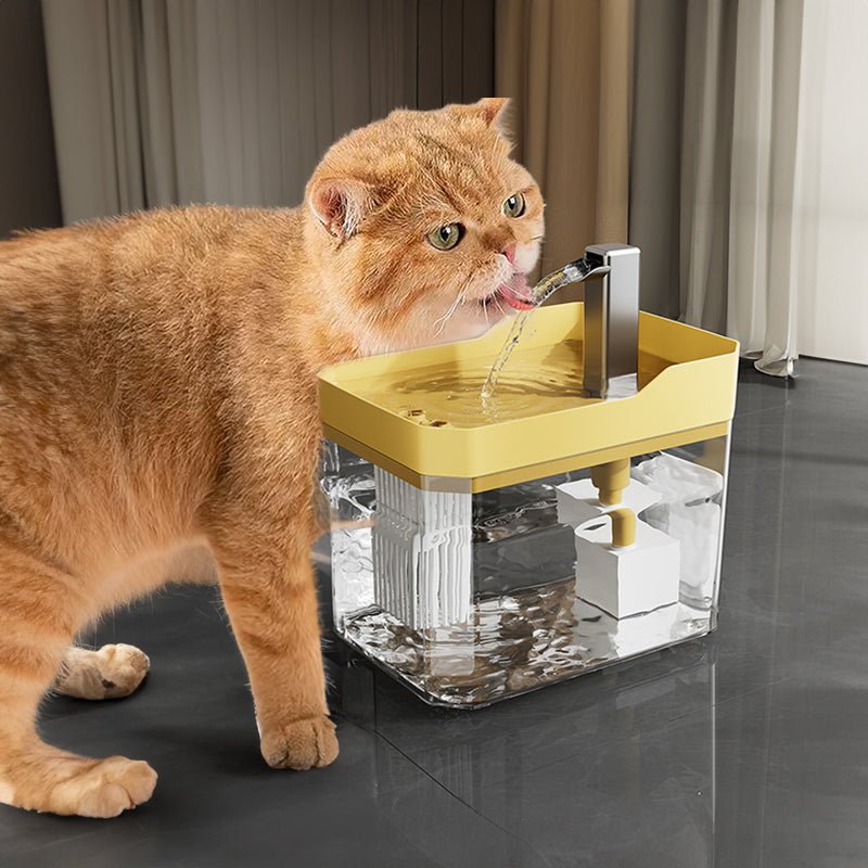 Automatic cat water fountain with filter, USB - powered, anti - dry & circular filtration.  - Cat Supplies