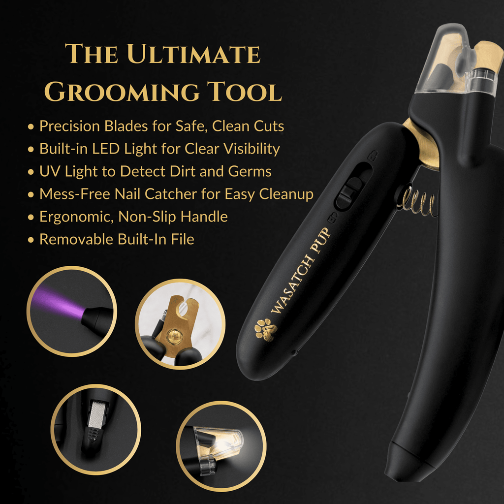 3 in 1 Nail Clippers - Cocoa The Trendy Petpet supplies