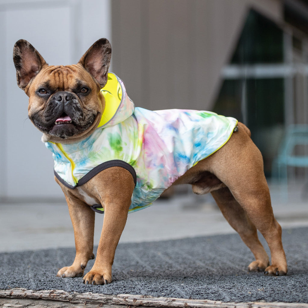 Reversible Raincoat - Neon Yellow With Tie Dye - Cocoa The Trendy PetPets - Dog Supplies