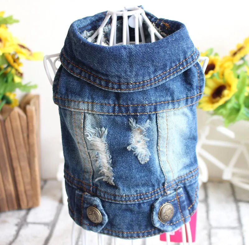Denim Dog Clothes for Small Dogs - Cocoa The Trendy PetPets