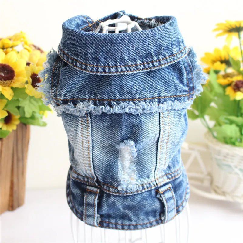 Denim Dog Clothes for Small Dogs - Cocoa The Trendy PetPets