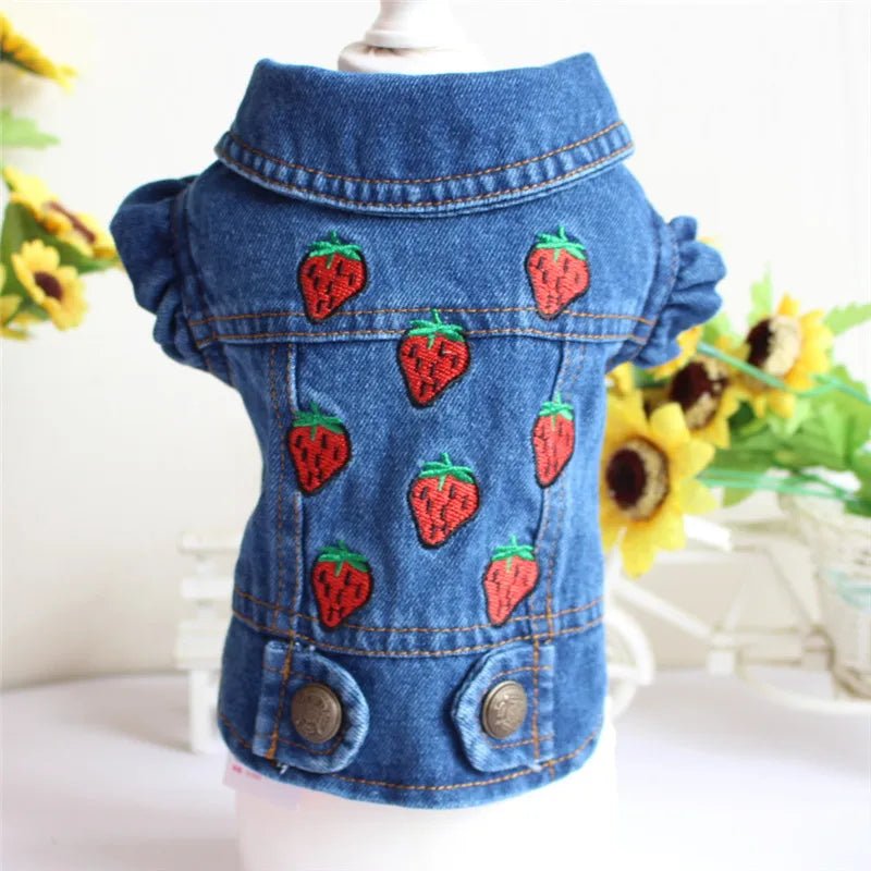 Denim Dog Clothes for Small Dogs - Cocoa The Trendy PetPets