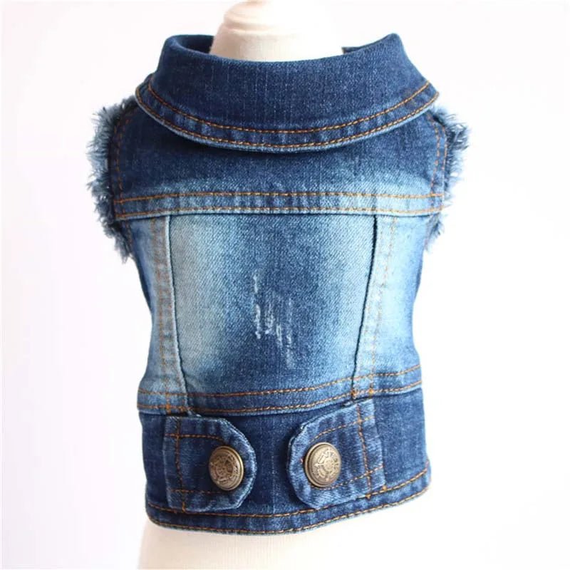 Denim Dog Clothes for Small Dogs - Cocoa The Trendy PetPets