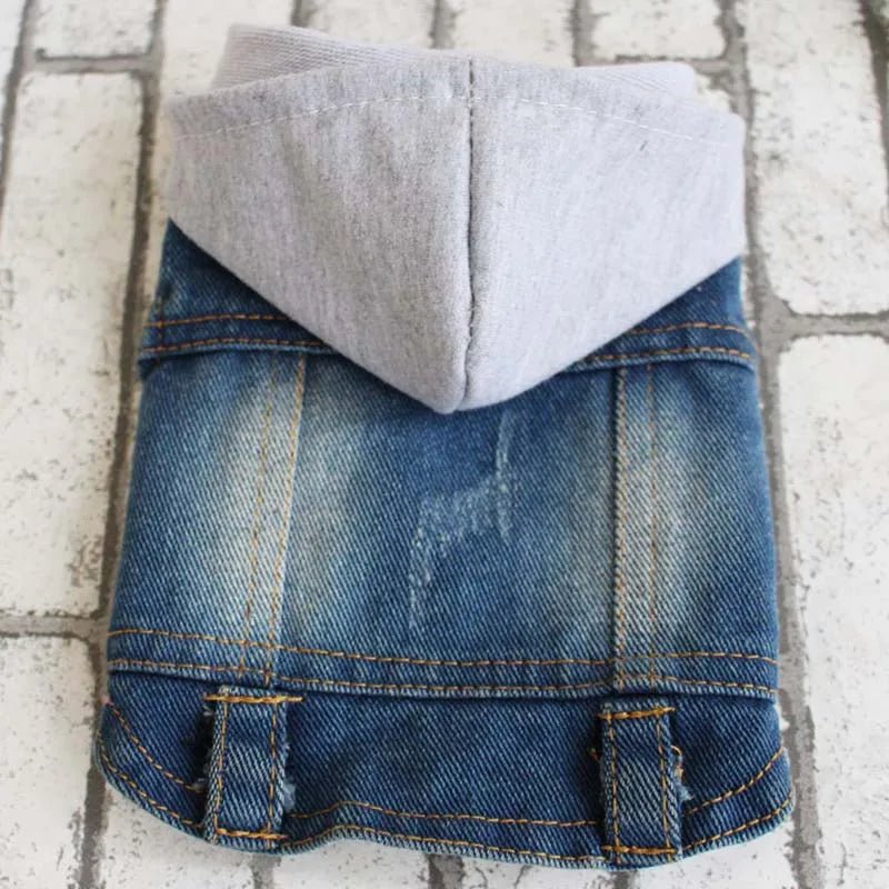 Denim Dog Clothes for Small Dogs - Cocoa The Trendy PetPets