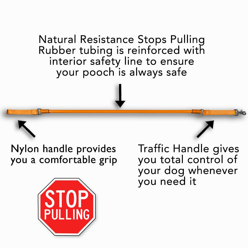 WUNDERleash – The Original No - Pull Dog Leash - Cocoa The Trendy Pet