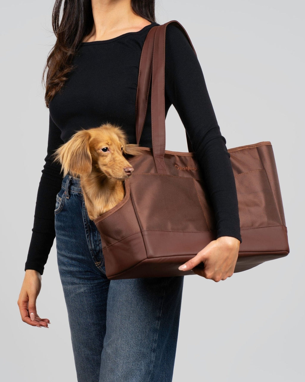 Chocolate Brown Pet Tote Bag - Cocoa The Trendy PetPet Carriers & Crates