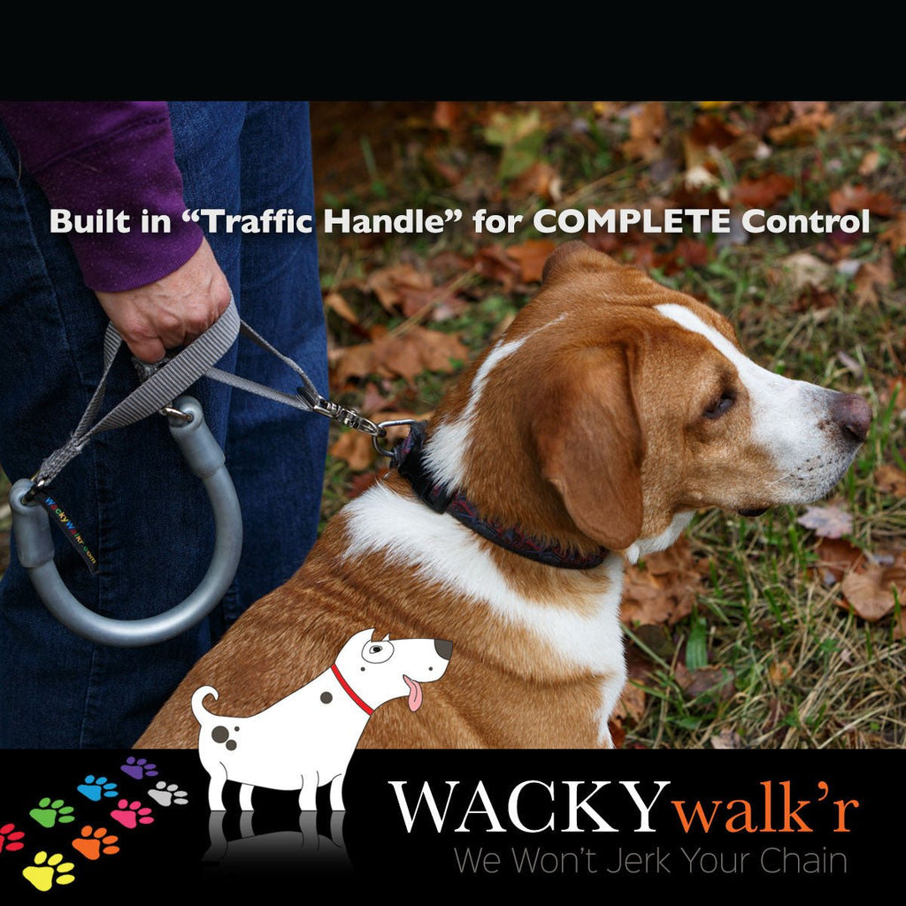 Shorter No Pull Leash - Urban Walk'r - Cocoa The Trendy Petdog leash