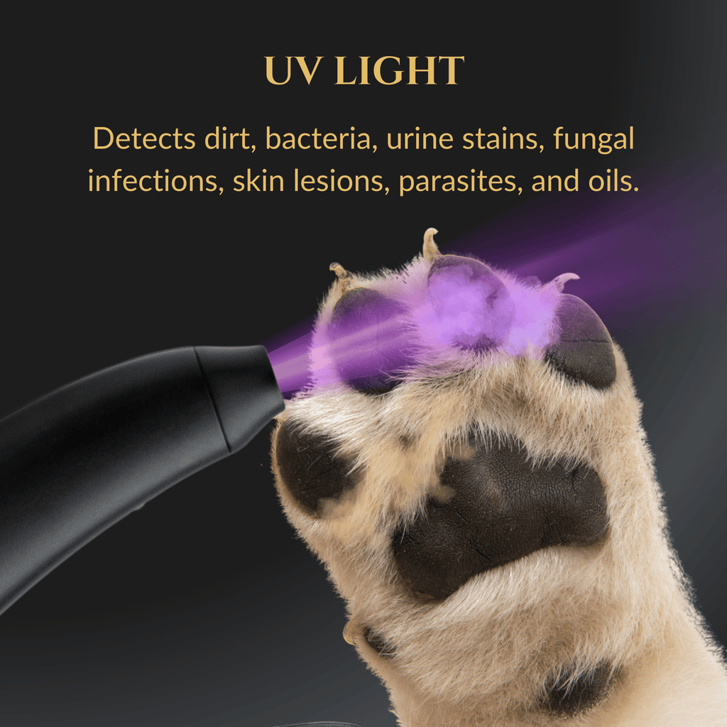 3 in 1 Nail Clippers - Cocoa The Trendy Petpet supplies