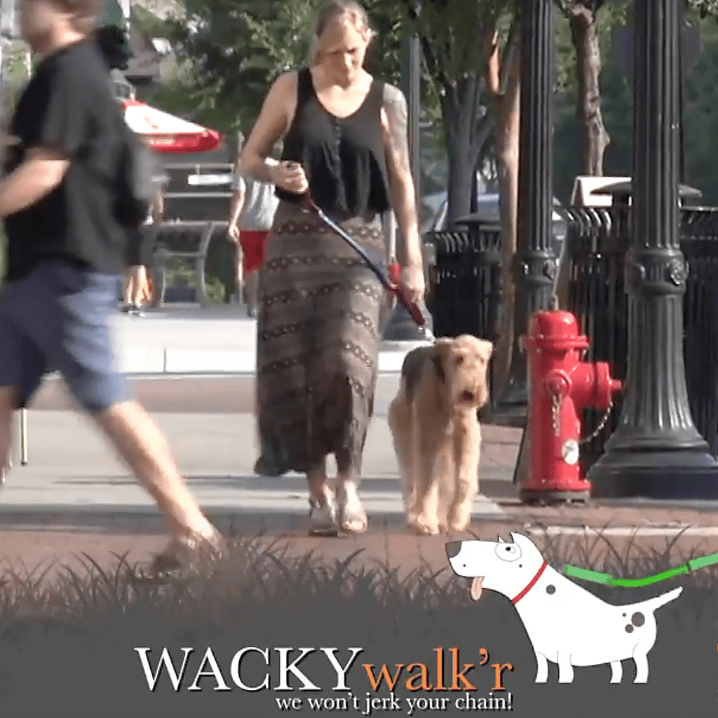 Shorter No Pull Leash - Urban Walk'r - Cocoa The Trendy Petdog leash