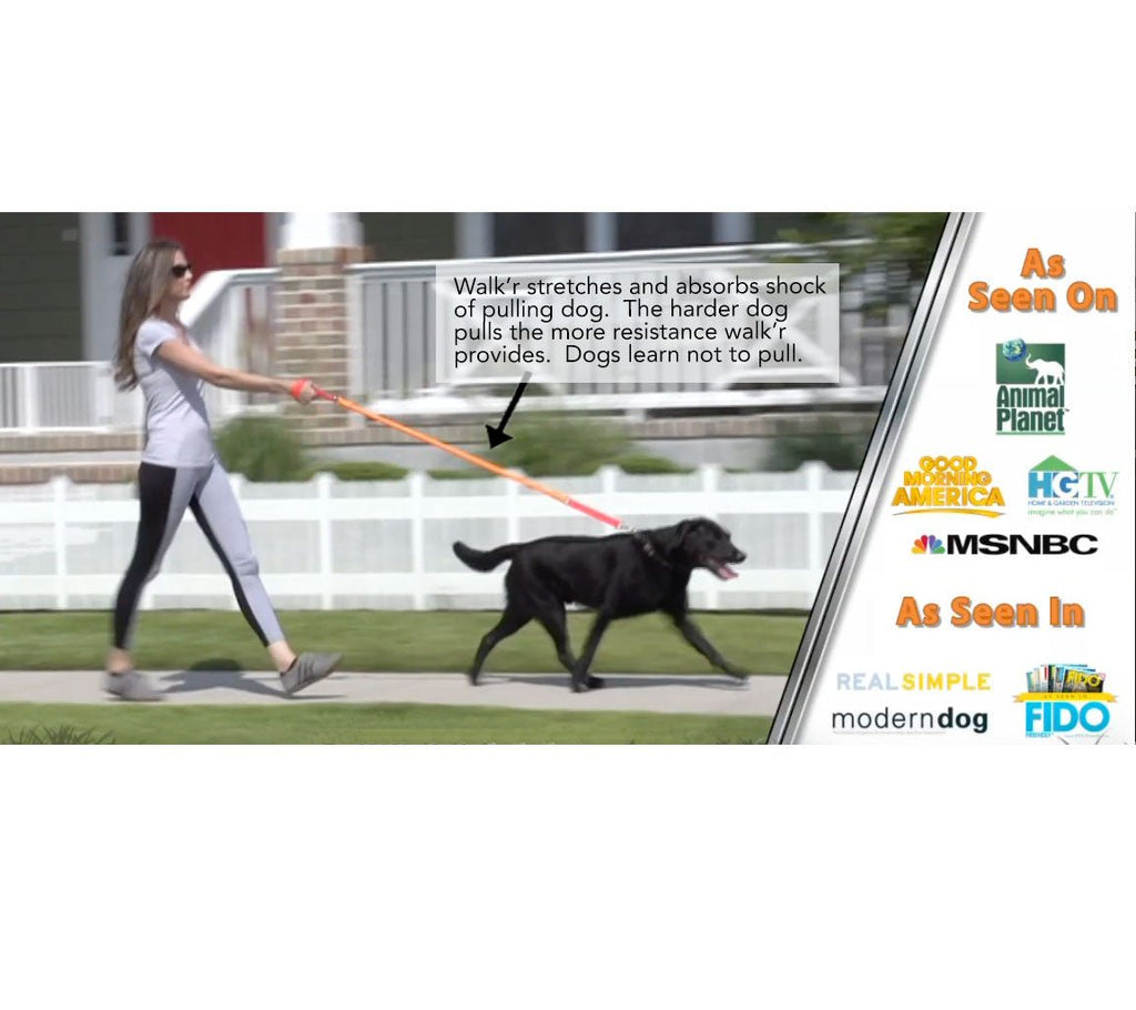 WUNDERleash – The Original No - Pull Dog Leash - Cocoa The Trendy Pet