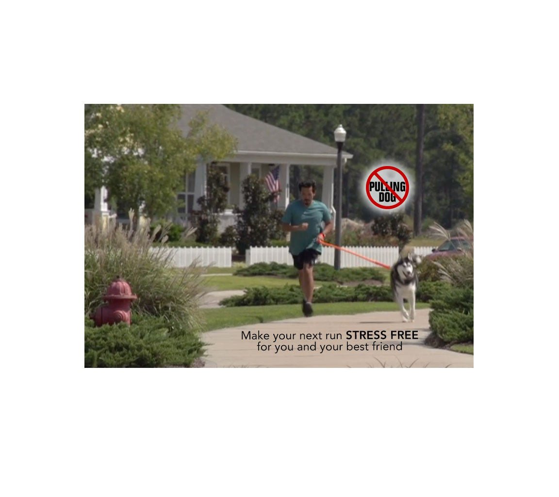 WUNDERleash – The Original No - Pull Dog Leash - Cocoa The Trendy Pet