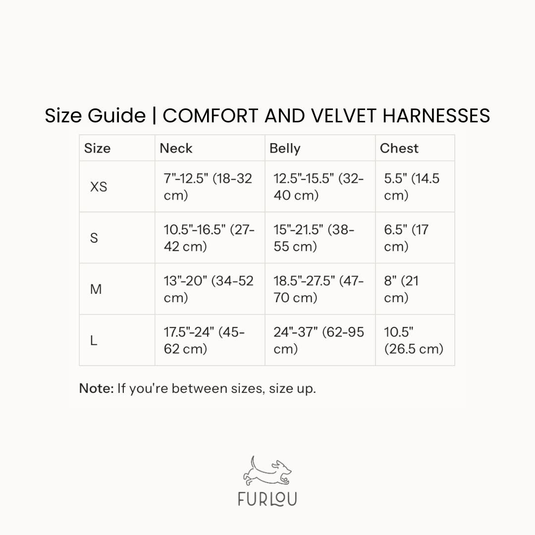 The Velvet Executive Suite: The 4 - Point Precision Harness - Cocoa The Trendy PetVelvet Harness