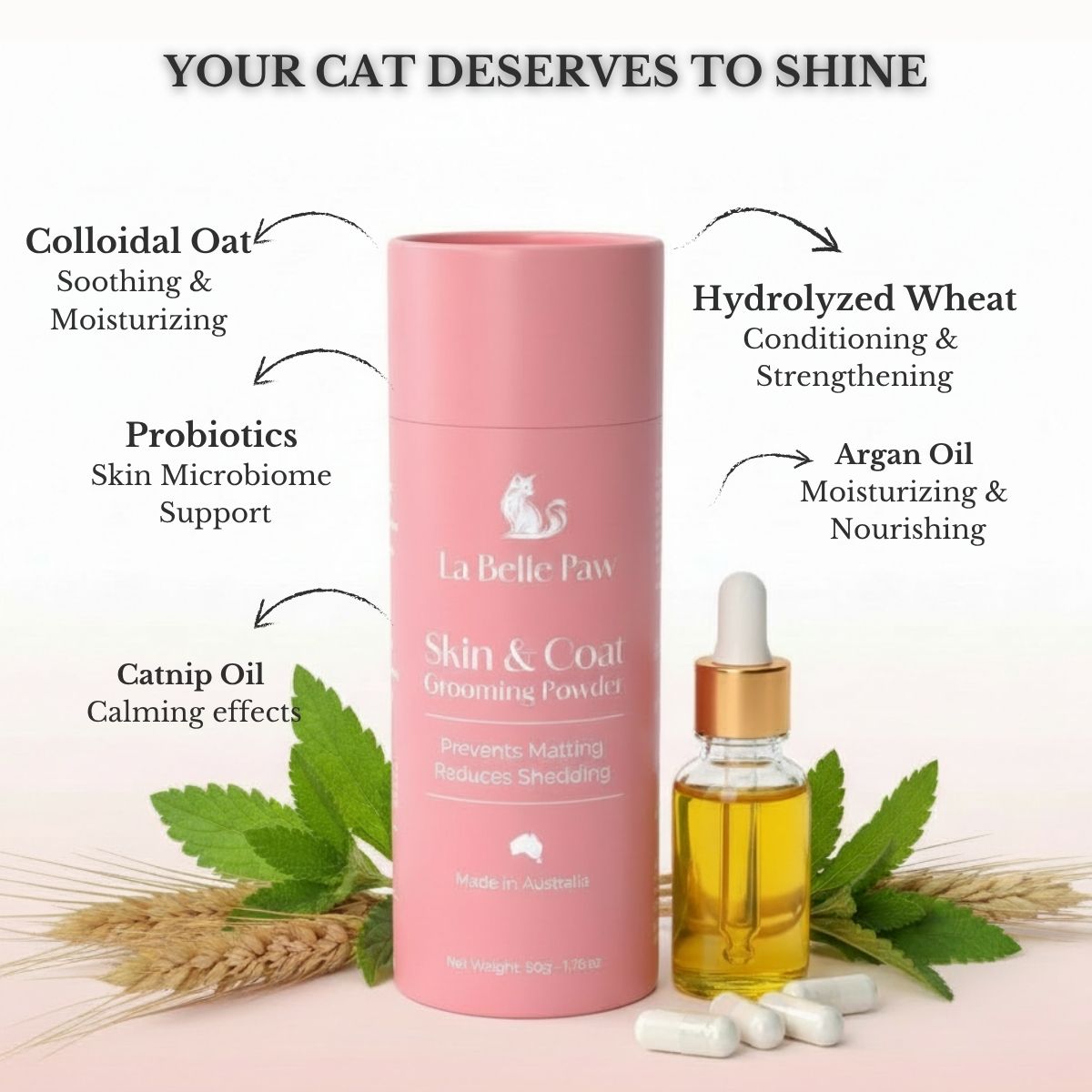 Skin & Coat Grooming Powder - Cocoa The Trendy PetPets - Cat Supplies